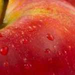 体臭を改善するには善玉菌を活用しましょう！